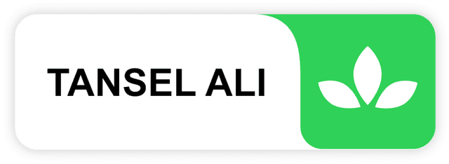 network logo